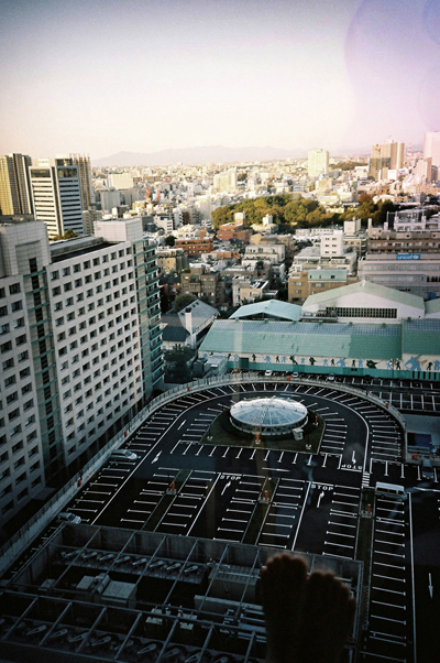 00000026-2.jpg
