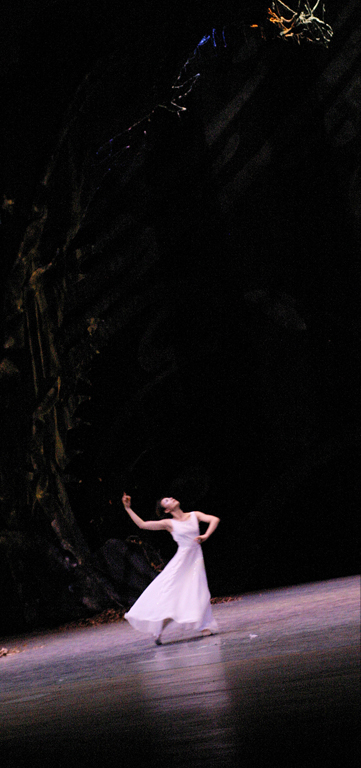IMG_2013 copy25.jpg